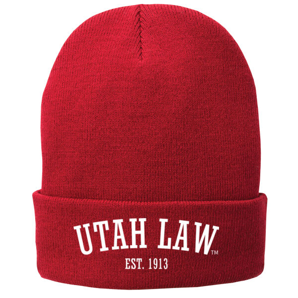 SJQ - Fleece Lined Knit Cap Thumbnail