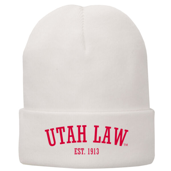 SJQ - Fleece Lined Knit Cap Thumbnail